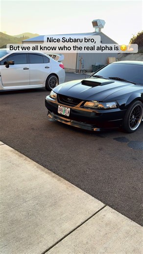Mustang Vs. Subaru: Choose Your Alpha Car!