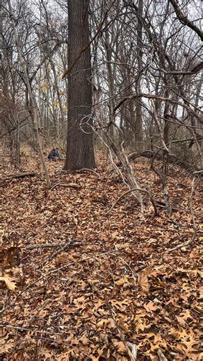 Isaac Pasette on Instagram: "My friend Mike and I ventured in the thick woods behind a 200+ year old village in search of anything people may have lost or dropped long ago. What we ended up finding with our metal detectors was totally unexpected, especially for the location we were searching! #metaldetecting #oldvillage #newengland #history #americancivilwar"