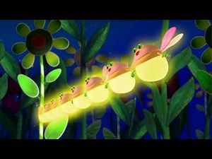 Special Agent Oso - Code Name (GoldenFly)