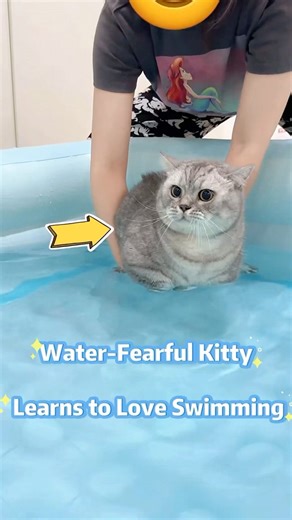 🐱😱💦Water-fearful kitty learns to love swimming!😳😍🥰❤️ #cat #cute