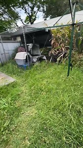11K views · 194 reactions | Dee gets yelled at by the neighbours! 郎 #satisfying #transformation | Dee’s Lawn & Landscaping | Facebook