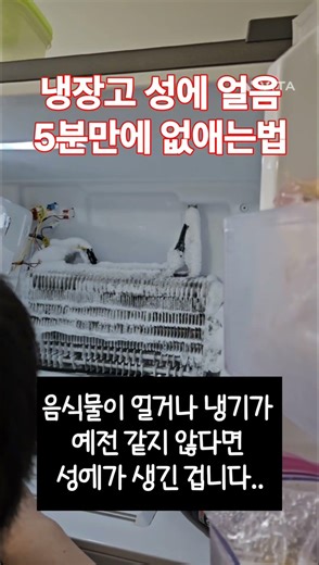 냉장고 성에 얼음 놔두면 고장 납니다. 5분 만에 없애는 법 #냉장고성에 #살림꿀팁 #자취꿀팁 #생활의지혜 #냉장고청소 #살림로그 #꿀팁공유