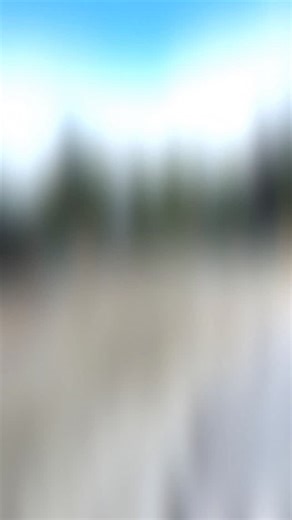 Dreamin’ and schemin’ up some big changes on a couple of our larger Naples projects right now…. But, that is what it’s all about~~~ being not only ready to roll with the punches, new ideas, or unforeseen circumstances, but being able to answer them with an even better outcome in the end. ~ Tour videos coming soon~~ #staytuned #landscapedesign #landscapearchitecture #naples #design | Jack Barnwell Design