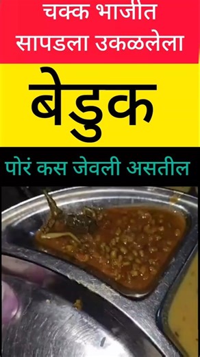 launch - सापडला बेडूक #maharashtra #मराठी #maharashtranews #marathinews #मराठी