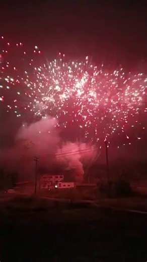 120 shots bloodred and white glittering two step song fan