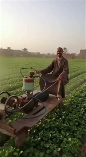 وابو الغيط 🤣 الموقع المستخدم savsora #ai #ai_learning #robotics #ai_news #ai_gaming #ضحك #ذكاء #صعيد