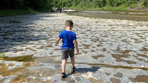 7 best hiking trails for kids in the Rochester region: See the list
