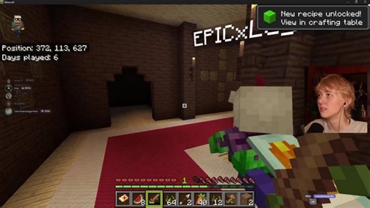 day one of my new minecraft world