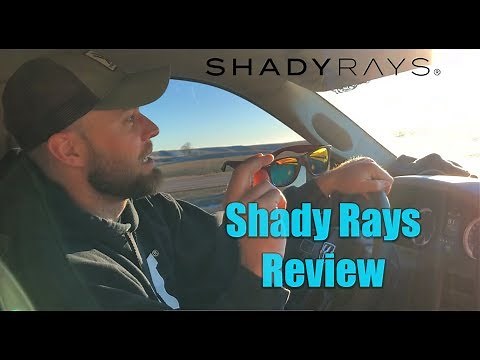 Review Shady Rays Classics Golden Timber Polarized