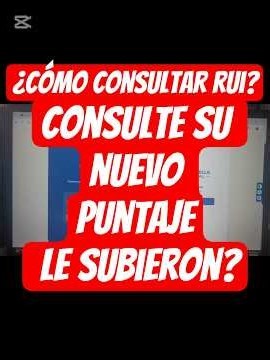 cómo consultar el rui 2026 para subsidios COLOMBIA Mayor RENTA ciudadana