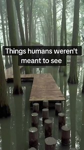 Things humans weren't meant to see ⚠️ #scary #skinwalker | Creepy Facts