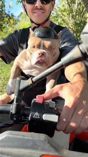 Uma experiência inesquecível 🤩🐾 Passeio de Quadriciclo com a Marê 🐾