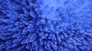 Free video - Nature, Snow, Landscape