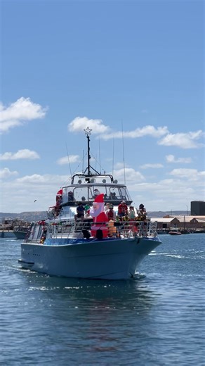A ‘Master Class’ in boat decorating at today’s Blessing of the Fleet! The whole of Geraldton has turned out for the fun and festivities 🚢🦞⛵️ | Geraldton Guardian