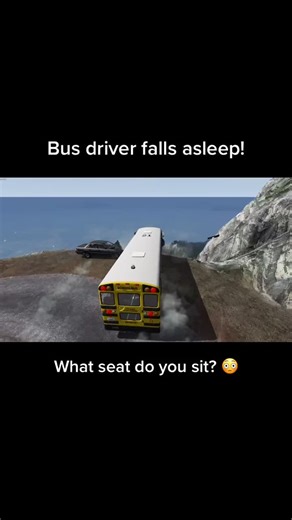 Bus Driver Falls Asleep in Cliff Meme