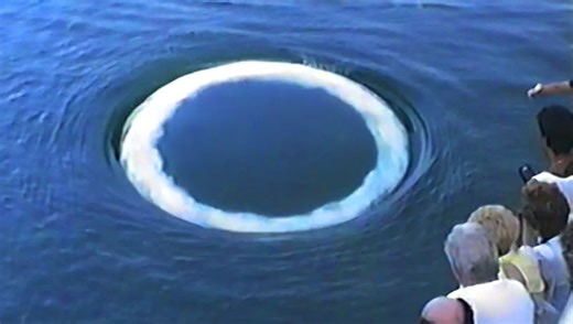 Watch Inquisitive Humpback Whales Blow Bubble Rings At Whale Watchers