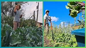 Fresh from the Farm – Straight to Your Plate Veggies