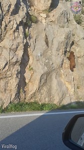 Reached the top, looked back down, showed no panic 😳 | 7-Second Riddles