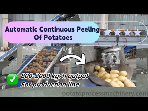 Automatic continuous potato peeler machine for heavy duty using at factory price