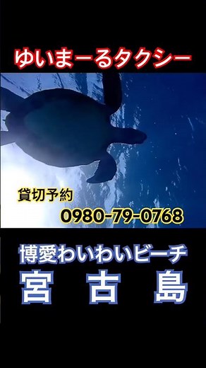 ゆいまーるタクシー予約受付中！TOKYOタクシー・キムタクと同じ全車プリウスα #宮古島 #銀河鉄道999 #海亀