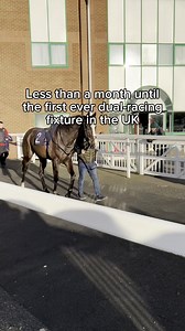 The Lady Wulfruna Stakes, the first dual horse and greyhound racing fixture in UK history, is less than a month away... 👀 Who's excited to witness a moment in sporting history? Get your tickets below: 👇 https://ow.ly/ztEV50Y9iuf #WolverhamptonRacecourse #GreyhoundRacing #HorseRacing | Wolverhampton Racecourse