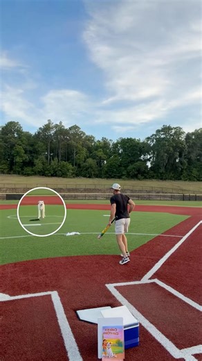 When Your Dog Becomes the Pitcher #shorts #funny