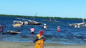 Two Mozambique drown victims to be buried on Sunday - SABC News - Breaking news, special reports, world, business, sport coverage of all South African current events. Africa's news leader.