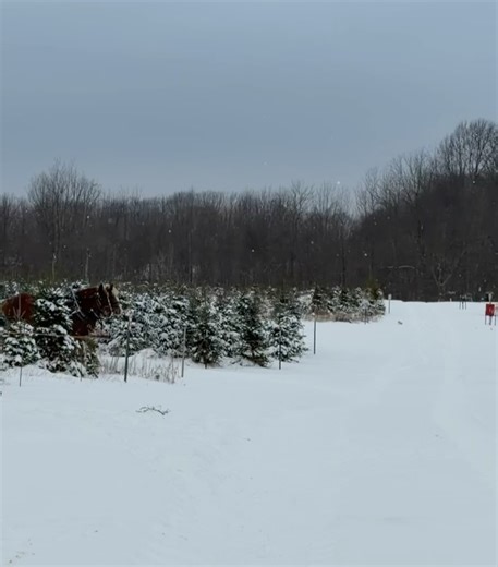 Sarah Spain on Reels