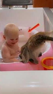 When Kids And Animals Become Best Friends #shorts