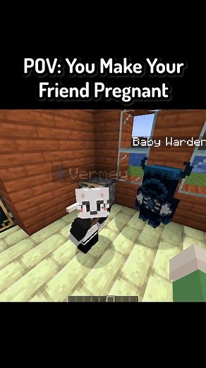 62K views · 1.1K reactions | POV: You Make Your Friend Pregnant In Minecraft #minecraft #minecraftmemes #funnymoments | Saroneymc | Facebook