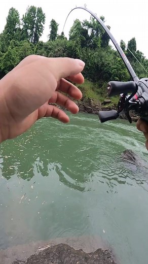 Đụng độ cá măng khủng p1 #caucagiaitri #causuoi