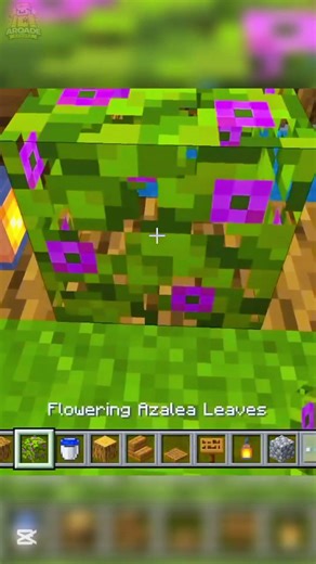 Minecraft Build Hack: Make a Beautiful Well in Seconds!