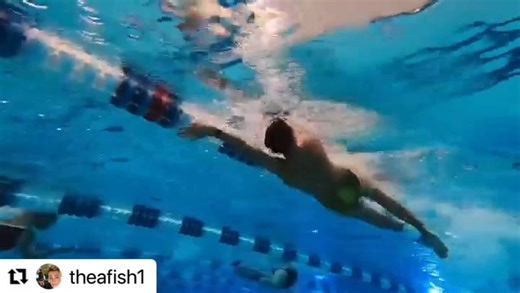 The 5️⃣ most common mistakes in Backstroke AND how to FIX them 🤓 SLAF is here to be a resource to Coaches and Swimmers alike. This blog post offers a combination of text, videos, descriptions, and our favorite drills to help with the following: 1. Imbalanced Rotation 2. Crossing Over at the Entry 3. Incorrect Body Alignment 4. Lack of Continuous Kick 5. Too Deep of a Pull Use the link below to learn how to start correcting your Backstroke Technique today 👇🏼 https://swimlikeafish.org/dont-make