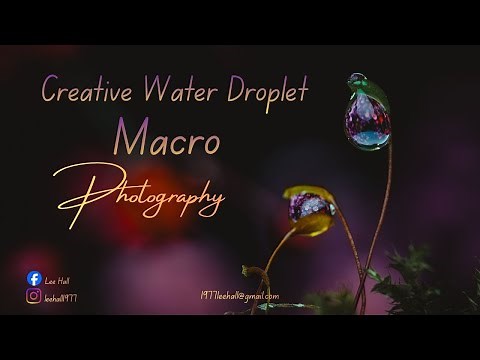 Creative water droplet macro photography using moss.