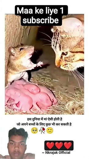 इस दुनिया में मां ऐसी होती है जो अपने बच्चों के लिए कुछ भी कर सकते हैं#maa #sad #sadstatus