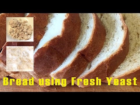 How To Cook: Homemade Bread - Using Fresh Yeast + Time-lapse Fresh Yeast Rising