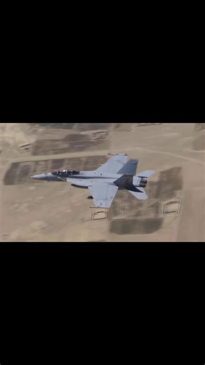 F/A-18 Hornet: The Versatile Military Fighter Jet