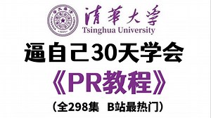 【PR教程】全298集（完整版）清华大佬耗时三月整理的Premiere Pro课程，从基础到精通，详细讲解，通俗易懂，适合所有零基础小白学习，学完即可接活！ !_哔哩哔哩_bilibili