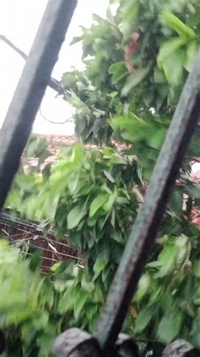 STRONG WIND SUPER TYPHOON #shortsfeed #shortsvideo #typhoon #youtubeshorts