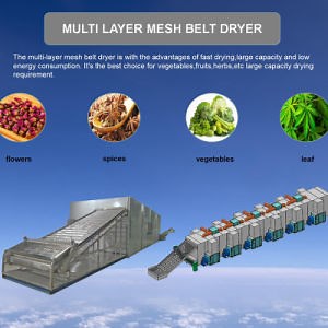 [Hot Item] Heat Pump Hay Belt Drying Machine with Dehumidification Industrial Drying Machine Conveyor Mesh Belt Dryer for Potato Chips Spices Chili