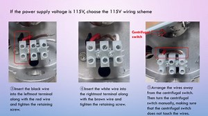 B2854 1.5HP Pool Pump Motor Compatible with Century A.O. Smith Hayward Pentair Sta-Rite Whisperflo Challenger Pinnacle Anthony Pool Pump, Square Flange Motor, 3450 RPM, 230/115 V, 56Y Frame