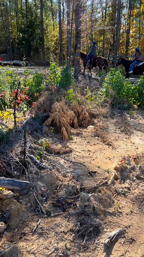Two best friends rode together today. Coming back off the trail. They had not ridden in quite awhile but they did great. Yes, it was cold but not too cold to laugh. | Oak Hill Farm