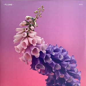 Flume - Skin