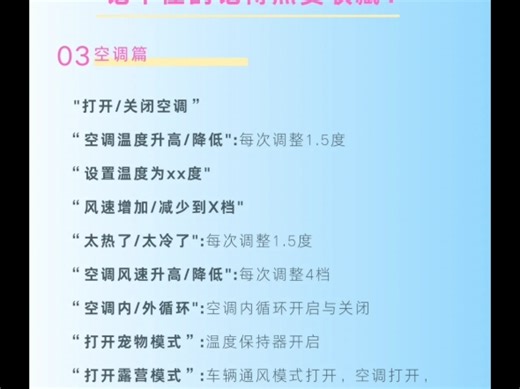 特斯拉语言指令，你会用吗？