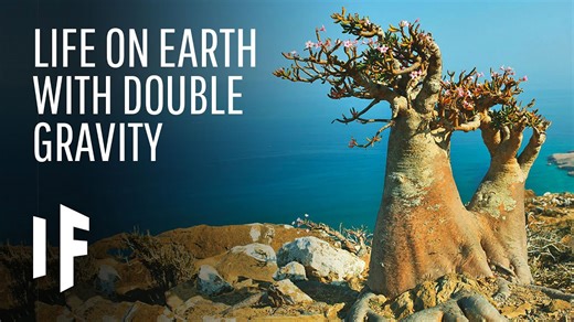 Imagining Earth if gravity were suddenly stronger