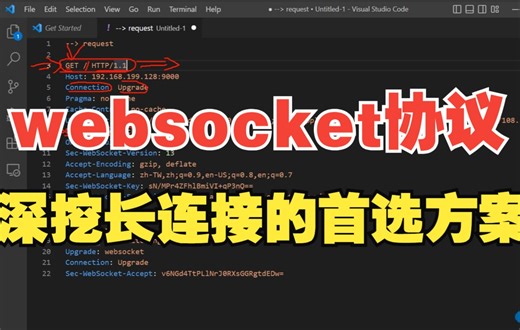 4个方面，深挖长连接的首选方案websocket协议 |websocket的握手协议；协议头的组成；传输明文与密文；优雅的断开连接