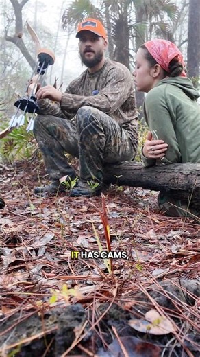 Compound bow vs recurve bow