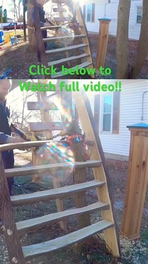 Building the most creative treehouse stairs ever #shorts #diy #genius