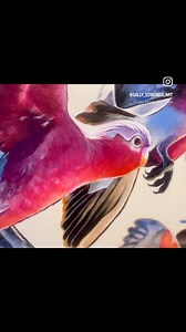 22 reactions | I offer many different options for prints. These are...