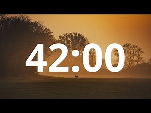 42 Minute Countdown Timer With Alarm (Simple Beep)
